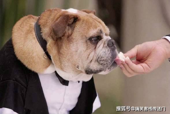 老公|搞笑幽默:老婆,逛商场是一件很累的事情,你坐上去,我来推你!