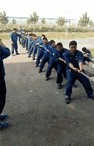 营长|爆笑gif图：师傅你这理发是认真的吗？我都不敢动！