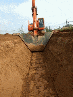 闺女|GIF动图笑话:要不你买三只吧,这样那两只打架时还有一只能劝架