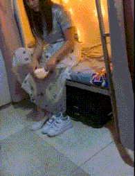 闺女|GIF动图笑话:要不你买三只吧,这样那两只打架时还有一只能劝架