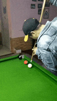 营长|爆笑gif图：师傅你这理发是认真的吗？我都不敢动！