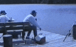 闺女|GIF动图笑话:要不你买三只吧,这样那两只打架时还有一只能劝架