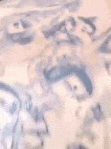 苹果|搞笑GIF趣图：别信他，就长成你这样的，染啥都没用了！