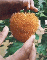 老公|开心一刻笑话:下午下班,我让老公开车来接我,可是他迟到了