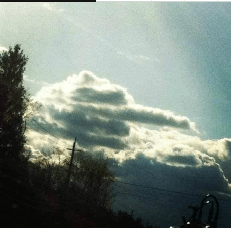 阿凡|每日一笑：你见过母鸡打架用鸡蛋的吗？胡闹