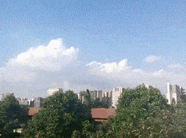 芝麻|搞笑GIF:不好意思 第一次上场 有点小紧张