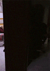 段子|爆笑GIF图：快点住嘴，你信不信我打你