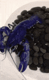 前妻|笑话:女孩从小练武,而且还是高手那种,结婚头一年总是被老公打