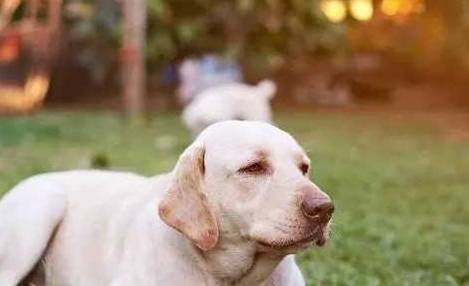 老公|开心笑话:当时她的语气很是霸道,我以为会考个好成绩呢