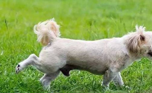 老公|开心笑话:当时她的语气很是霸道,我以为会考个好成绩呢