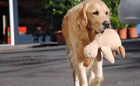 老公|开心笑话:当时她的语气很是霸道,我以为会考个好成绩呢