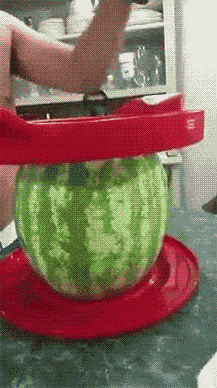 芝麻|搞笑GIF:不好意思 第一次上场 有点小紧张