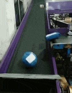 橘子|搞笑GIF趣图:上午手牵手和你一起买橘子的那个女孩子是谁?