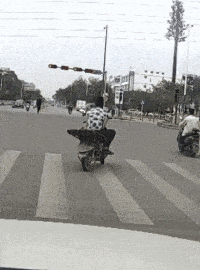 段子|爆笑GIF图：快点住嘴，你信不信我打你