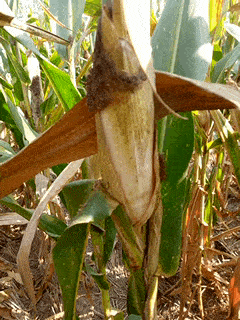 医生|搞笑GIF趣图:小子，我疯起来连自己都敢砸，就问你怕不怕！