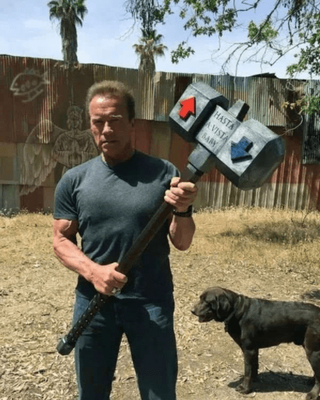 尼玛|搞笑GIF：妹子再漂亮，抢镜也抢不过二哈