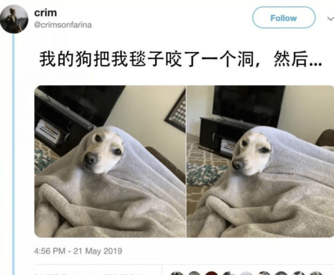 王姐|搞笑GIF：老姐的霸气，是你们永远不懂的