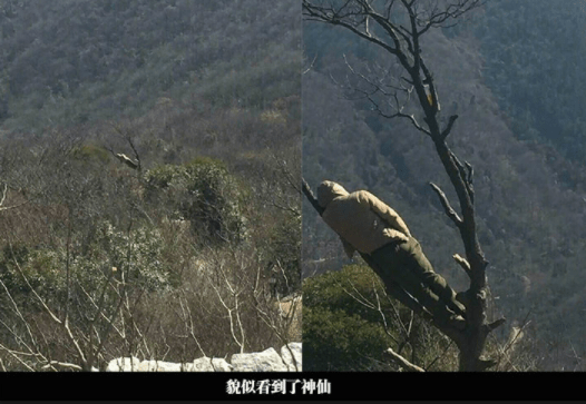 阿凡|搞笑GIF趣图：小哥，这双眼睛真的很优秀