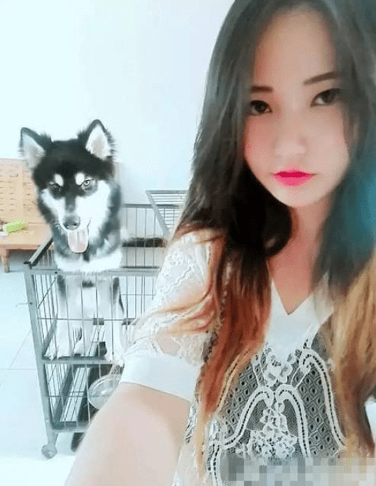 尼玛|搞笑GIF：妹子再漂亮，抢镜也抢不过二哈