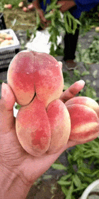 儿子|工地上搬砖的姑娘，她太有爱了你想娶吗？