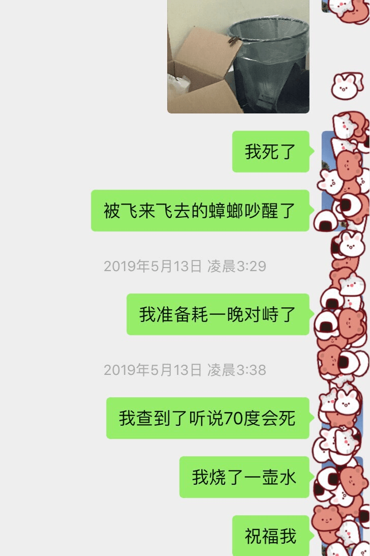 蟑螂|这大半夜的，未免也太刺激了...