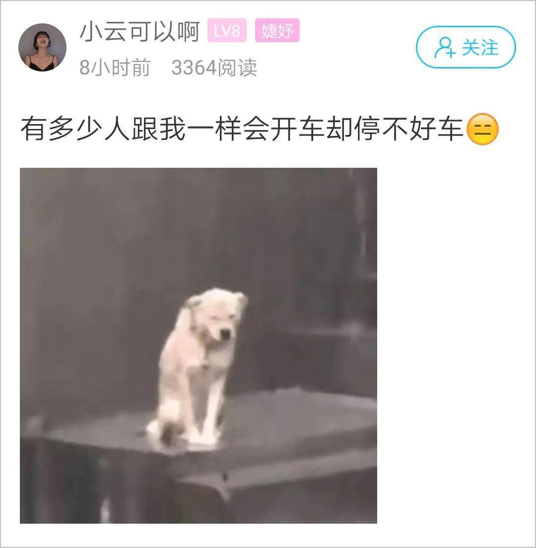 一样|萧山一姑娘太难了！会开车却停不好车，尤其是侧方，最尴尬的是……