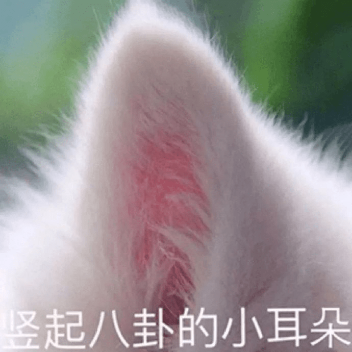 哈哈|“为了让女友消气，我只好…”这谁顶得住啊