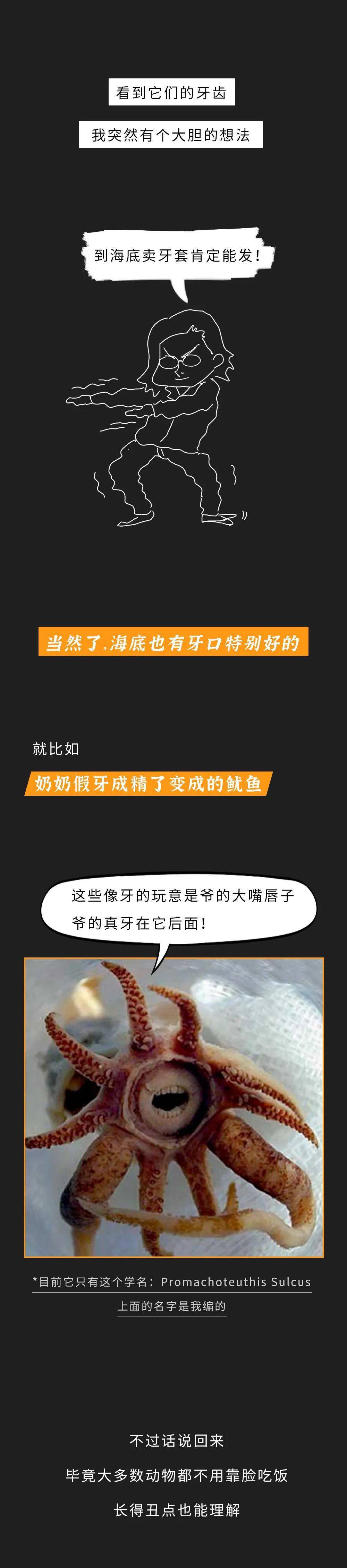 越来越|全世界的丑东西被我一网打尽了！（高能慎入）