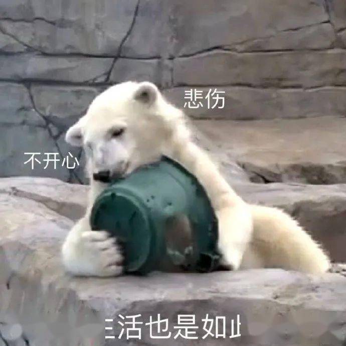 深圳|“假如突然和对象撒娇...”啊啊啊啊啊真的太甜了！