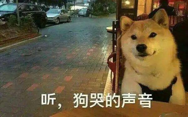 电影院|人体收缩性最大的部位…原来是这儿？ | 段子