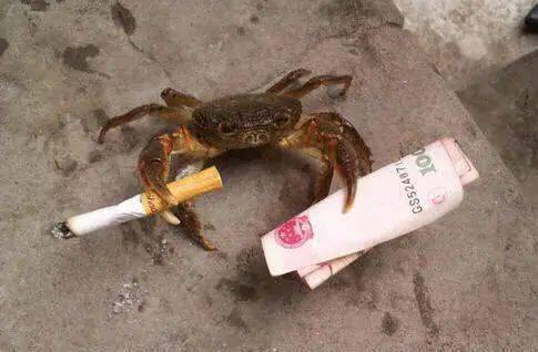 电影院|人体收缩性最大的部位…原来是这儿？ | 段子