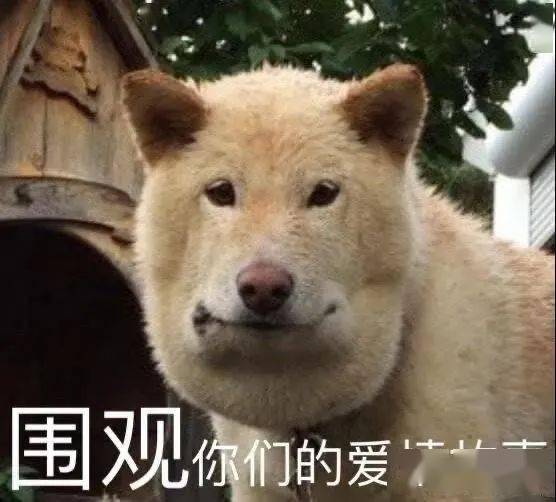 深圳|“假如突然和对象撒娇...”啊啊啊啊啊真的太甜了！