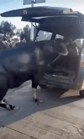 就是|想不想体验一下亿万富翁枯燥乏味的生活~ | 爆笑囧图