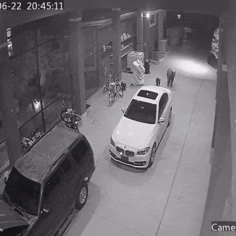 就是|想不想体验一下亿万富翁枯燥乏味的生活~ | 爆笑囧图