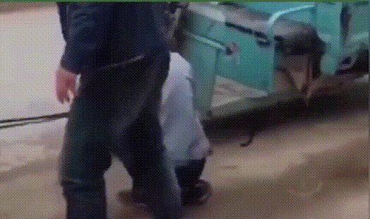 就是|想不想体验一下亿万富翁枯燥乏味的生活~ | 爆笑囧图