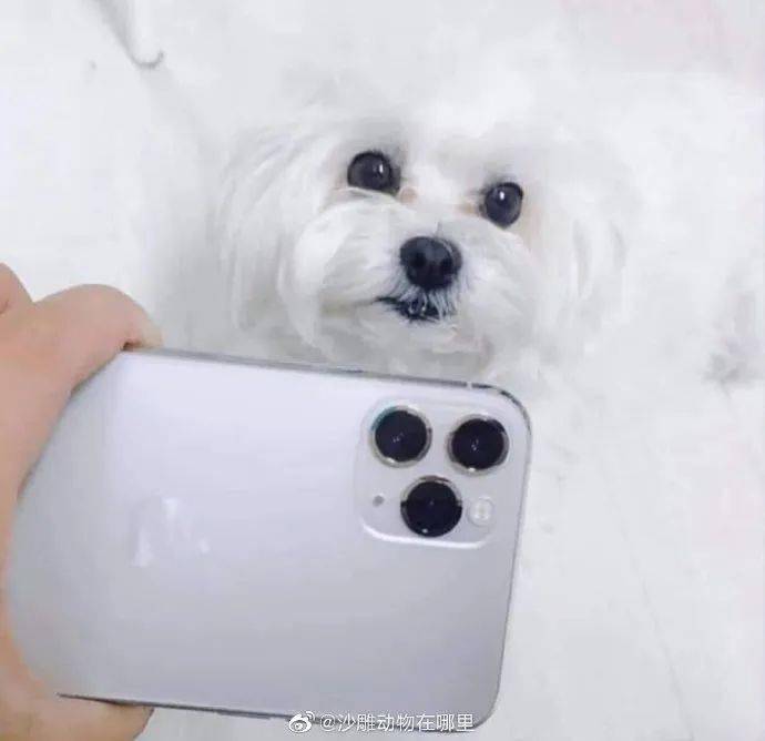 就是|想不想体验一下亿万富翁枯燥乏味的生活~ | 爆笑囧图