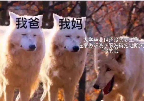 就是|想不想体验一下亿万富翁枯燥乏味的生活~ | 爆笑囧图