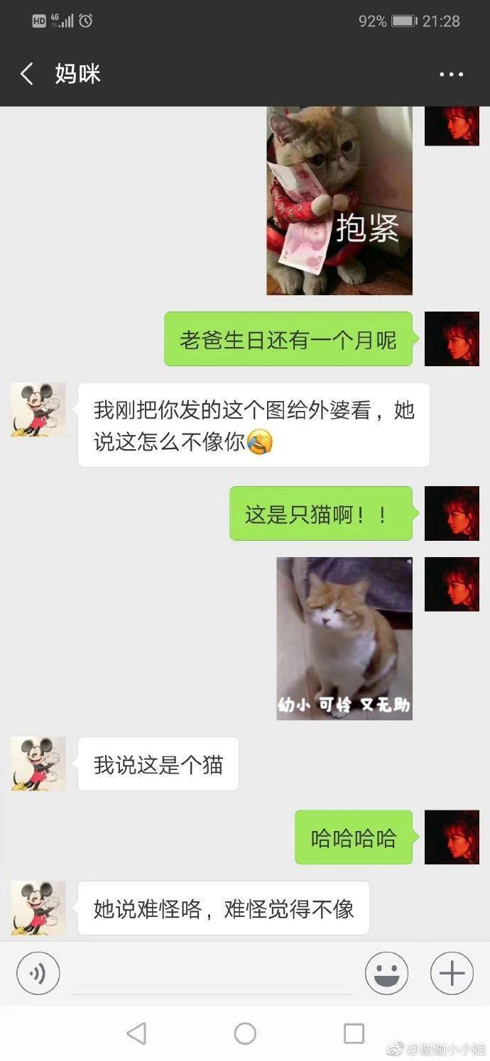 不要|跟爸妈聊天千万别截屏!哈哈哈哈哈哈哈哈哈哈