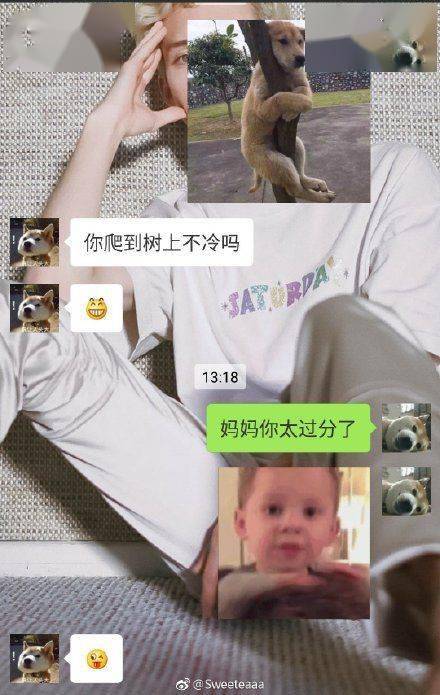 不要|跟爸妈聊天千万别截屏！哈哈哈哈哈哈哈哈哈哈