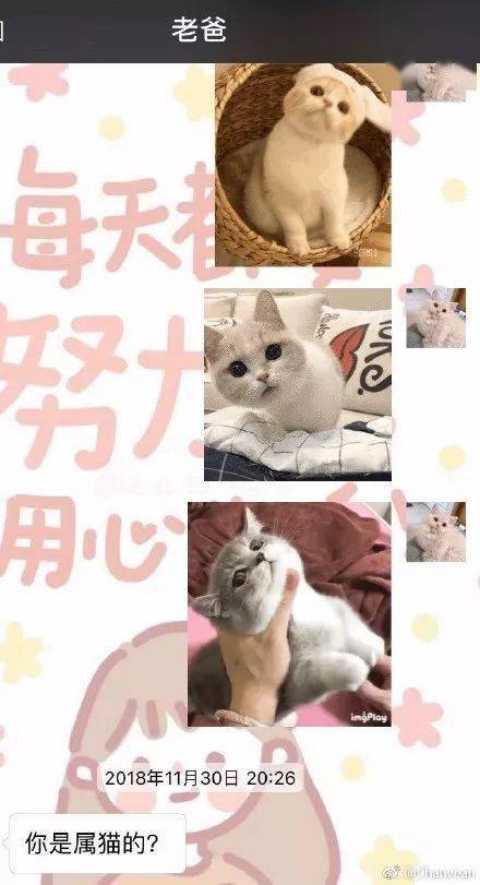 不要|跟爸妈聊天千万别截屏!哈哈哈哈哈哈哈哈哈哈