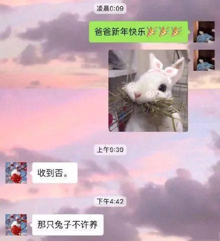 不要|跟爸妈聊天千万别截屏!哈哈哈哈哈哈哈哈哈哈