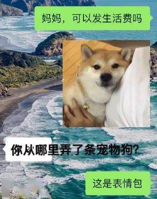 不要|跟爸妈聊天千万别截屏!哈哈哈哈哈哈哈哈哈哈