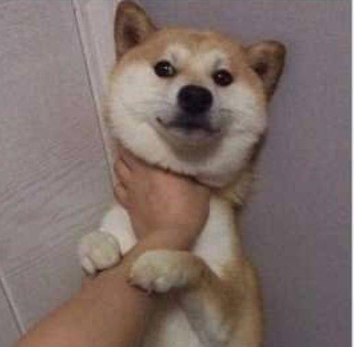 不要|跟爸妈聊天千万别截屏！哈哈哈哈哈哈哈哈哈哈