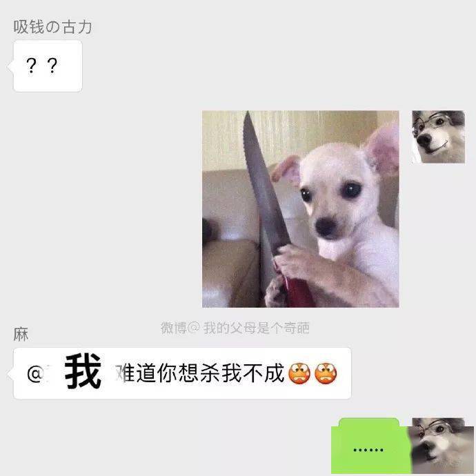 不要|跟爸妈聊天千万别截屏！哈哈哈哈哈哈哈哈哈哈