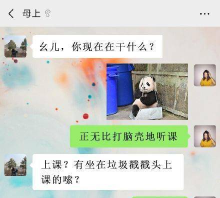 不要|跟爸妈聊天千万别截屏!哈哈哈哈哈哈哈哈哈哈