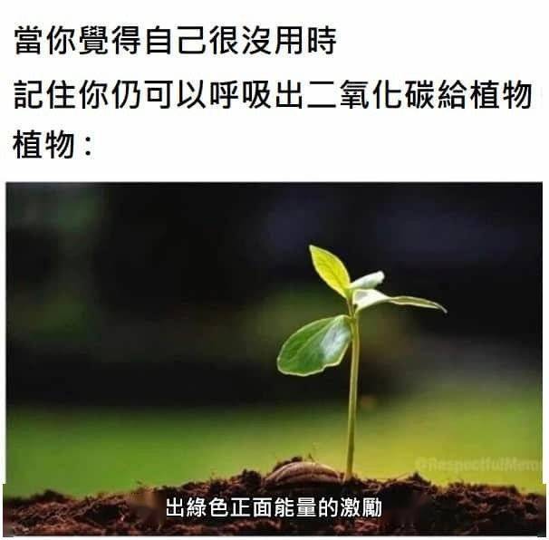 哈哈哈|广东人怎么区分老钱、新贵和穷鬼