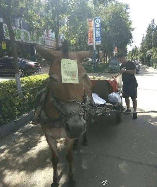 望都|闺蜜拍照技术到底能有多差？我笑喷了~ | 爆笑囧图