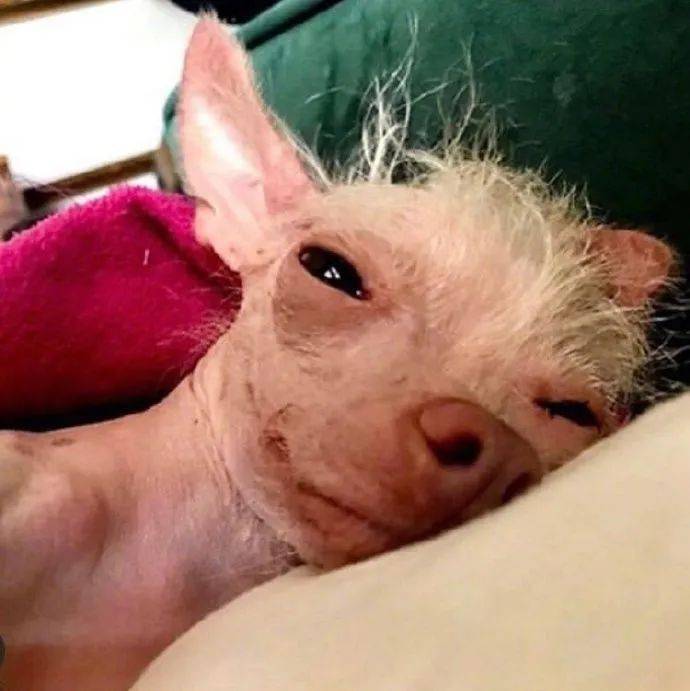 望都|闺蜜拍照技术到底能有多差？我笑喷了~ | 爆笑囧图