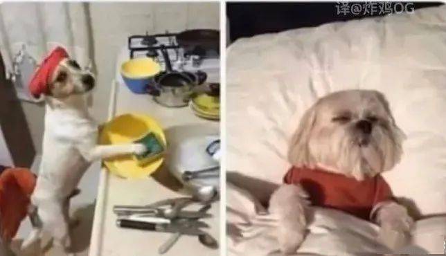 望都|闺蜜拍照技术到底能有多差？我笑喷了~ | 爆笑囧图