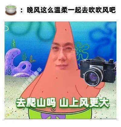 段位|“只有我觉得你段位很低吗？”教科书式斩茶...